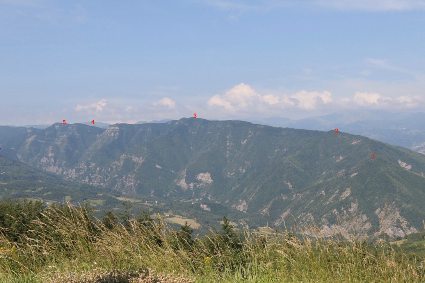 rivaridge – 10th Mountain Division Descendants, Inc.